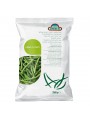 Haricots verts extra fins